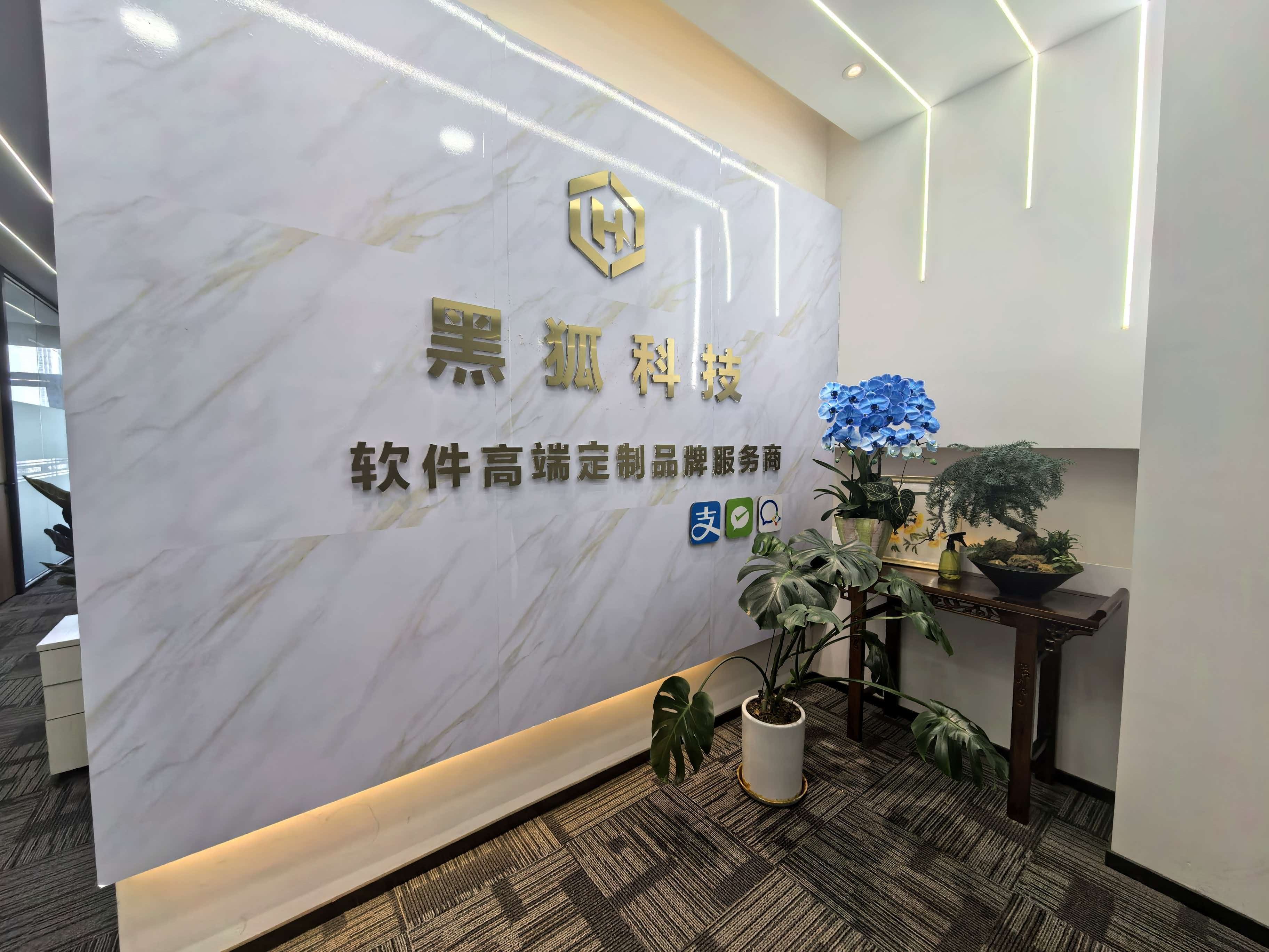 硬核团队技术